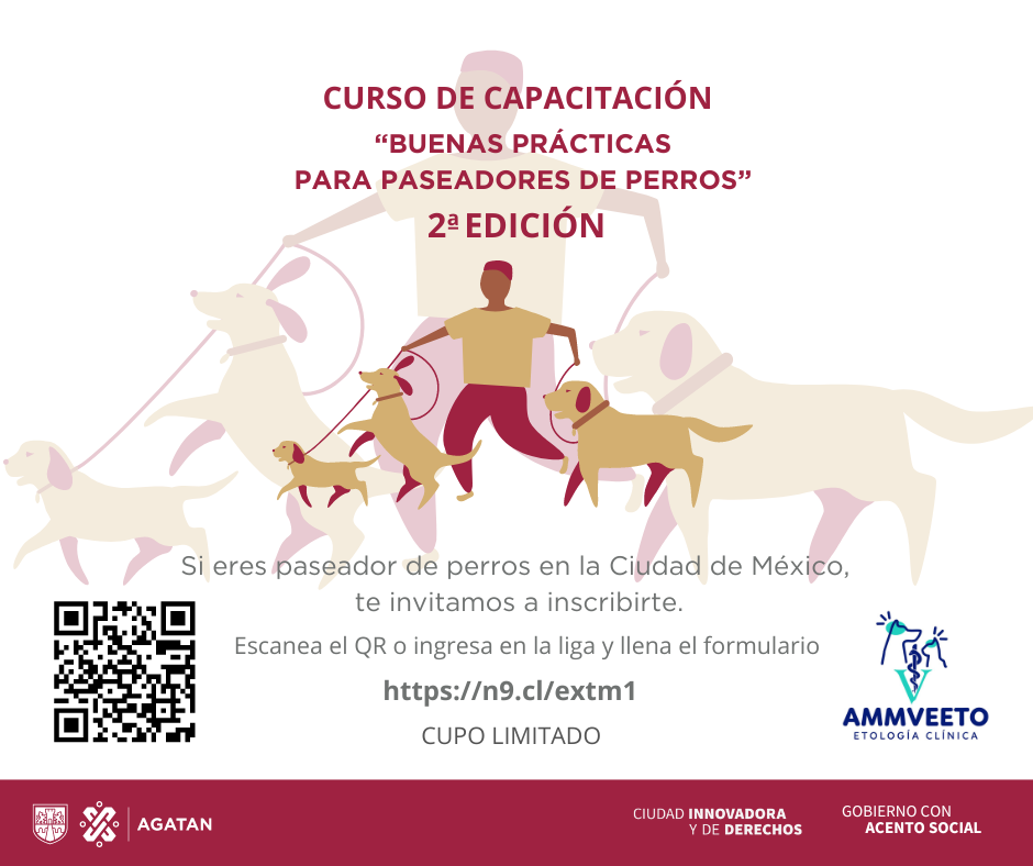 BUENAS PRÁCTICAS PARA PASEADORES CANINOS (12).png