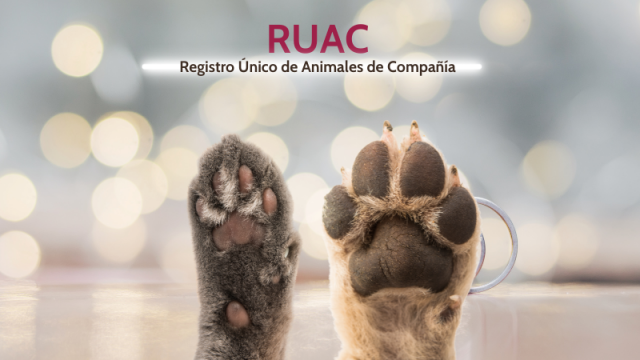REGISTRO ÚNICO DE ANIMALES DE COMPAÑÍA