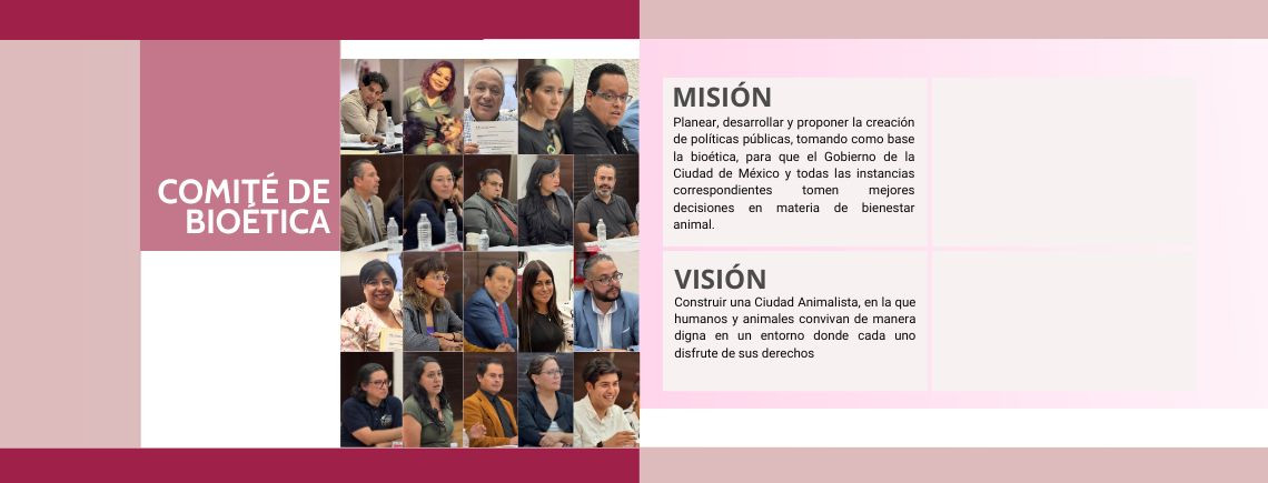 Comité de Bioética